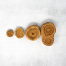 STROMATOLITE