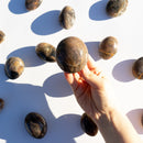 BLACK MOONSTONE PALM STONES