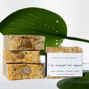 I AM ENERGIZED AND INSPIRED