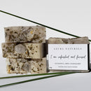 I AM REFRESHED AND FOCUSED